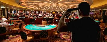 AVOCADO CASINO